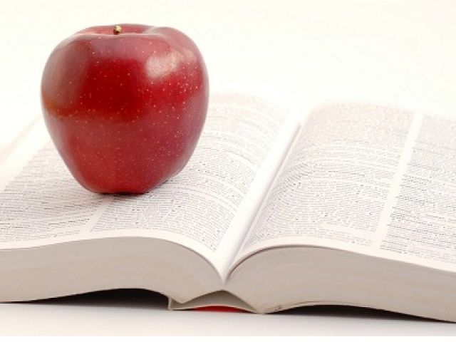 Profesionales de la salud y de la educación
